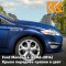 DCWE - DEEP IMPACT BLUE - Синий 